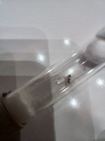20250802_234528.jpg