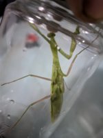 AGC_20250802_232112818.jpg