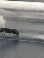 3e8d9d0c-9b4c-41cf-ab39-aa45c4ee7d4e.jpeg