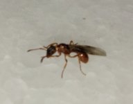 IMG_20250803_201856.jpg