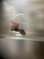 IMG_5383.jpeg