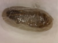 20250805-004553-175.jpg