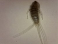 20250805-112418-951.jpg
