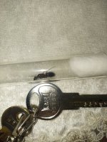 IMG_20250805_074445_140.jpg