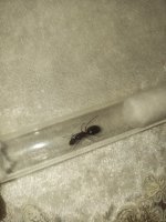 IMG_20250805_074416_688.jpg