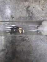 1000019183.jpg