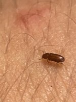 IMG_3801.jpeg