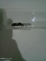 IMG_20250806_211653.jpg