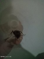 IMG_20250806_211754.jpg
