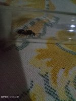 IMG_20250806_212649.jpg
