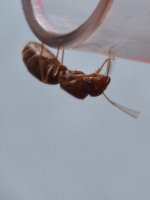 MVIMG_20250805_123545.jpg