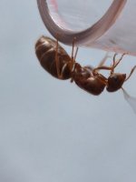 MVIMG_20250805_123543.jpg