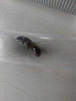 20250806_225652.jpg