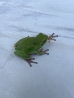 IMG_6694.jpeg