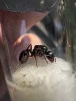 IMG_3190.jpeg