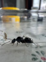 04119d67-6122-4ce2-99f2-5ad5718c6701.jpeg