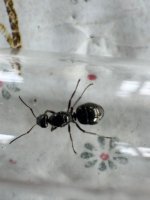 c0d461d4-bc08-4fce-b923-c5952251b7e0.jpeg