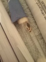 IMG20250808201007.jpg