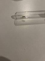 IMG_2928.jpeg