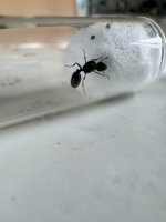 IMG_6874.jpeg