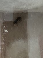 IMG_2022.jpeg