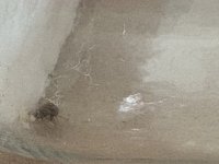 IMG_2023.jpeg