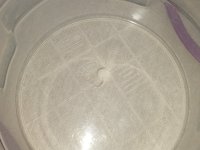 IMG_20250809_165009_865.jpg