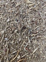 IMG_4484.jpeg