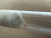 IMG_20250810_095433.jpg