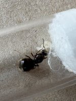 IMG_2101.jpeg