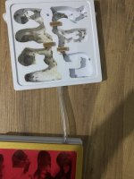 IMG_1252.jpeg
