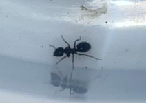 IMG_6769.jpeg