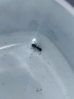 IMG_6766.jpeg
