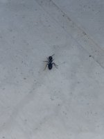 IMG_6767.jpeg