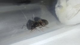 IMG_20250813_002553.jpg