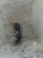 FJIMG_20250813_182802.jpg
