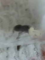 FJIMG_20250813_182731.jpg