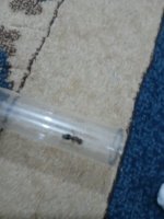 IMG_20250813_185829_1.jpg