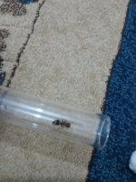 IMG_20250813_185825_1.jpg