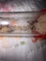 IMG_1944.jpeg