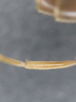 20250813_231831.jpg