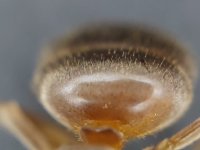 20250813_202145.jpg