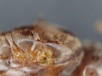 20250813_200342.jpg