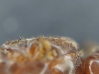 20250813_200459.jpg