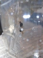 20250814_085901.jpg