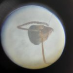 20250814_145848.jpg