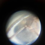 20250814_145501.jpg