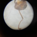 20250814_144158.jpg
