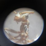 20250814_143533.jpg