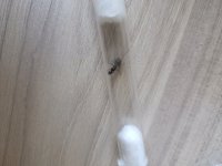 IMG_20250814_161831.jpg